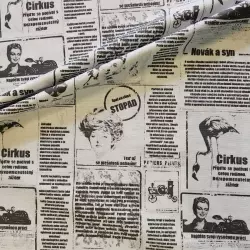 Noviny bavlna cena za 1 metr