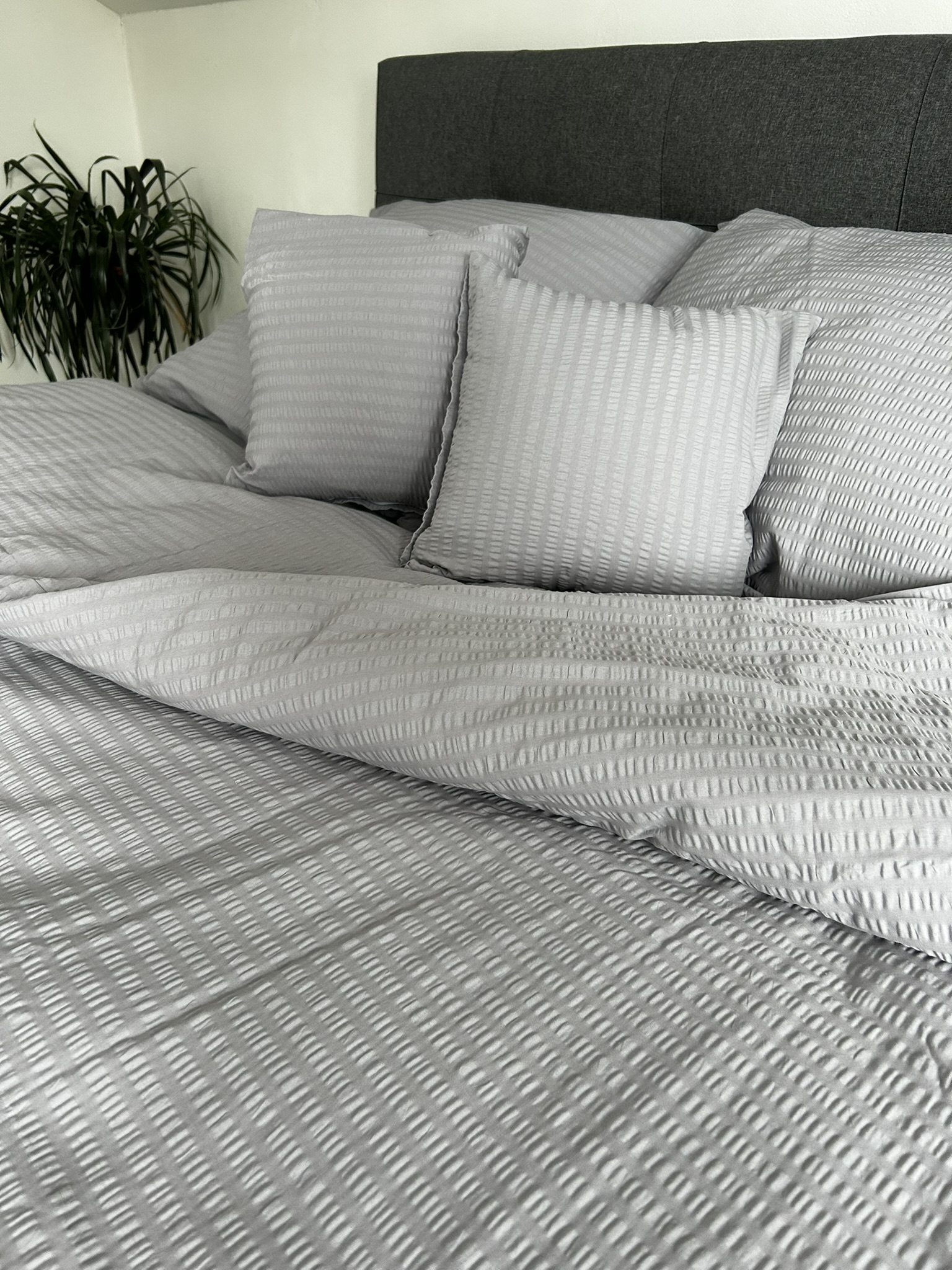 kliknutít zobrazíte maximální velikost obrázku