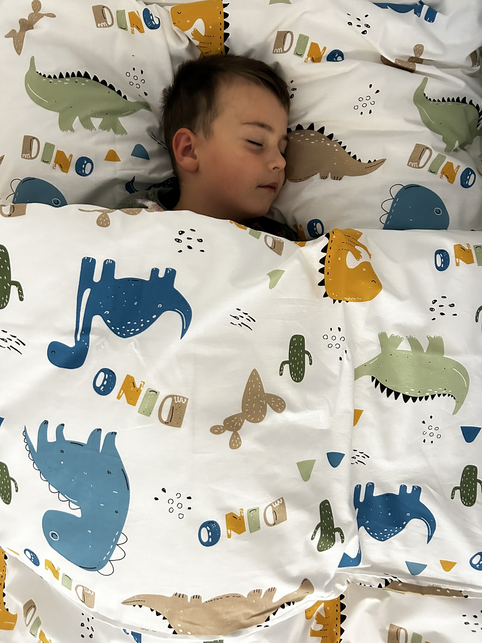 kliknutít zobrazíte maximální velikost obrázku