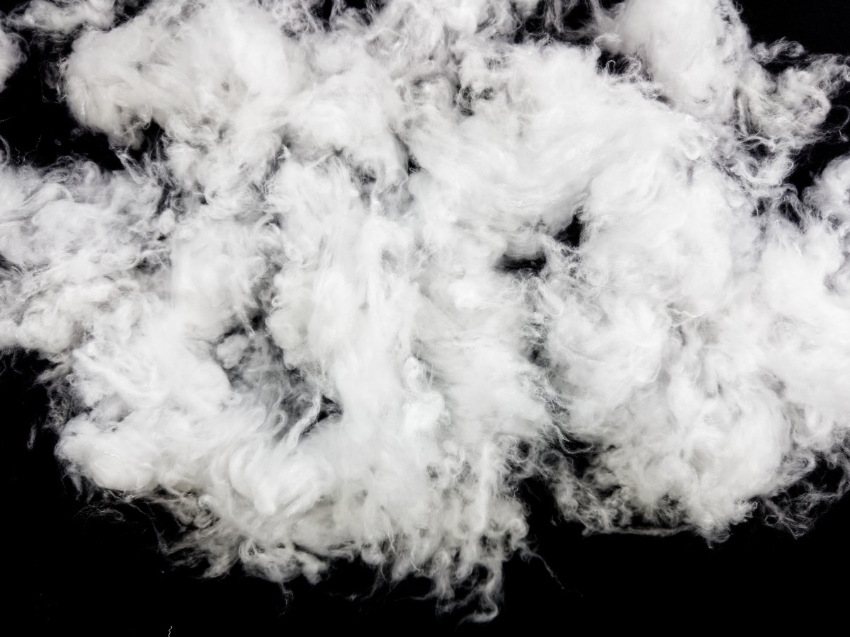 kliknutít zobrazíte maximální velikost obrázku